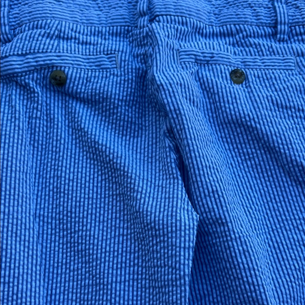 Blue Striped Pants - Picture 7 of 8